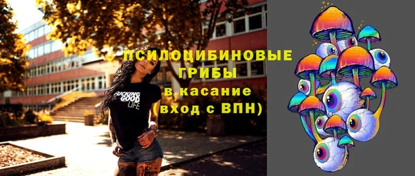 гидра Бутурлиновка