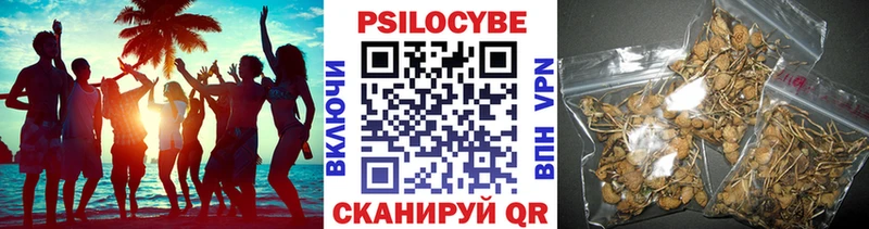 закладки  Судогда  Галлюциногенные грибы ЛСД 